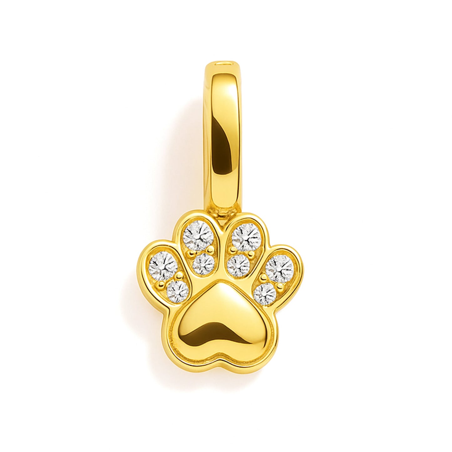 Charm - Paw